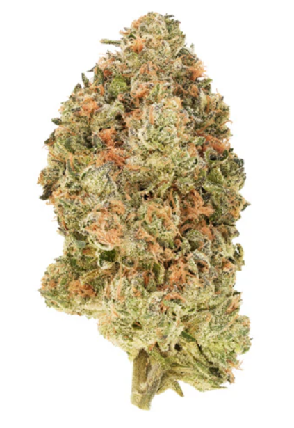 Simply Bare Organic : Bc Organic Black Zoap Lto