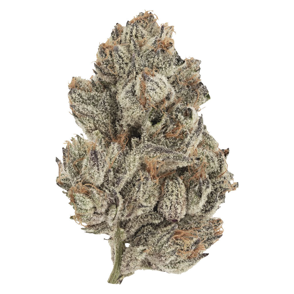 Station House : Trainwreck