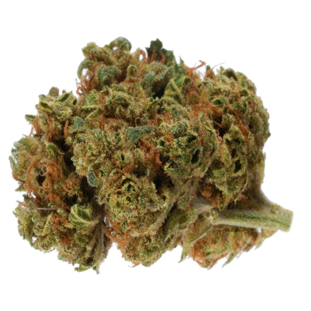18twelve : 8 BALL KUSH