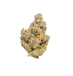 BC Green : Garlic Haze