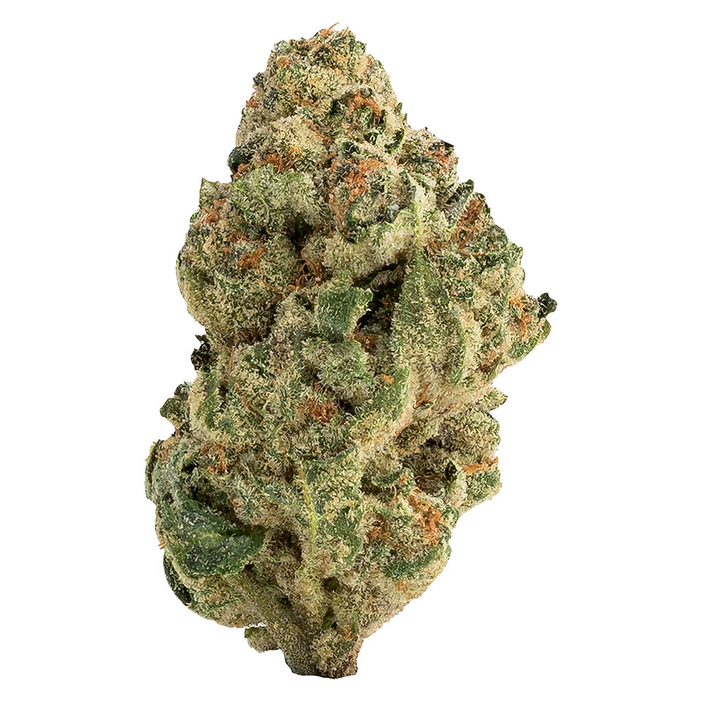 The Loud Plug : Venom OG