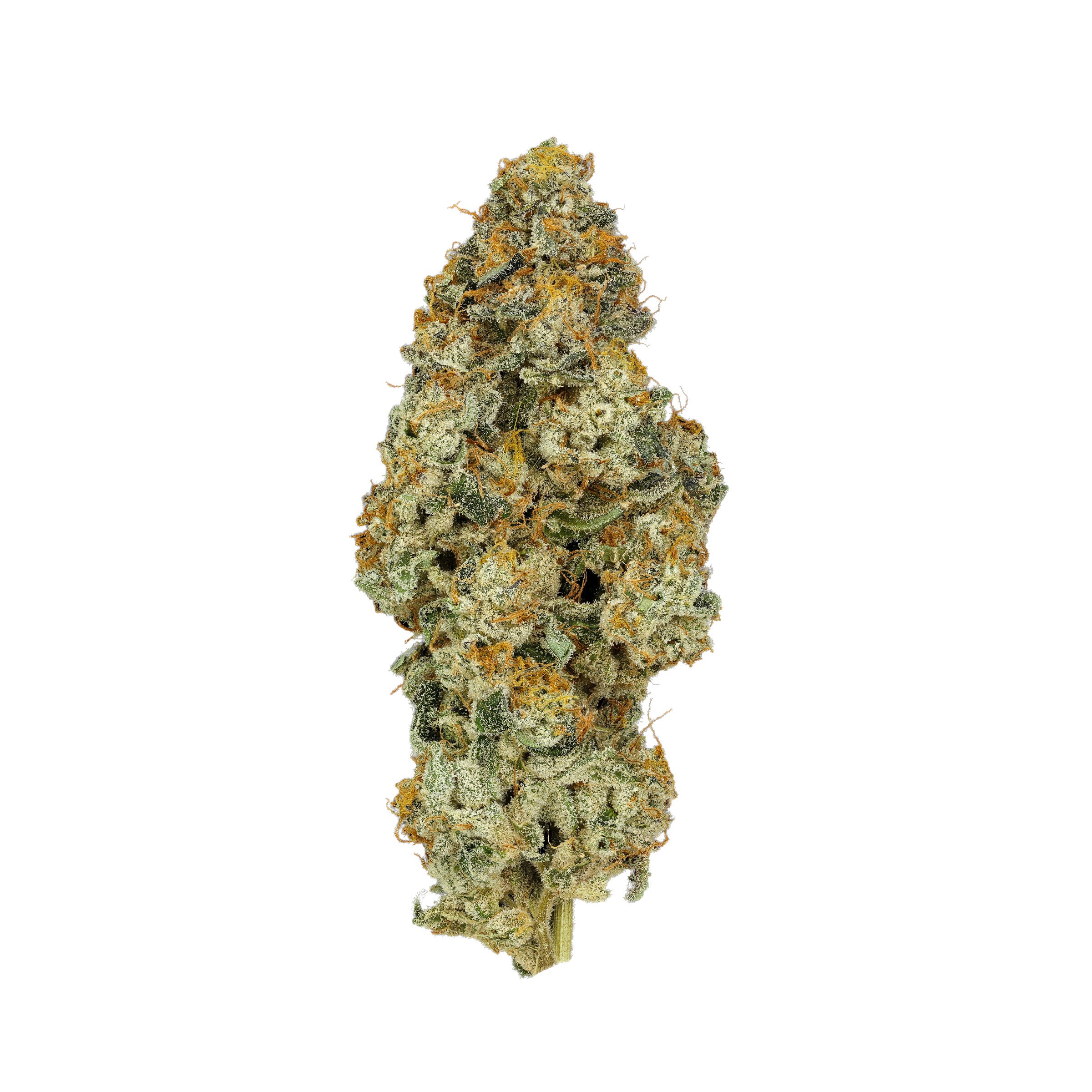 Organnicraft : PLATINUM ORANGES