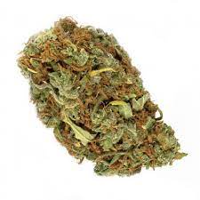 Haven St. : NO. 501 SHOOTING STAR PRE-ROLL (0.5g)