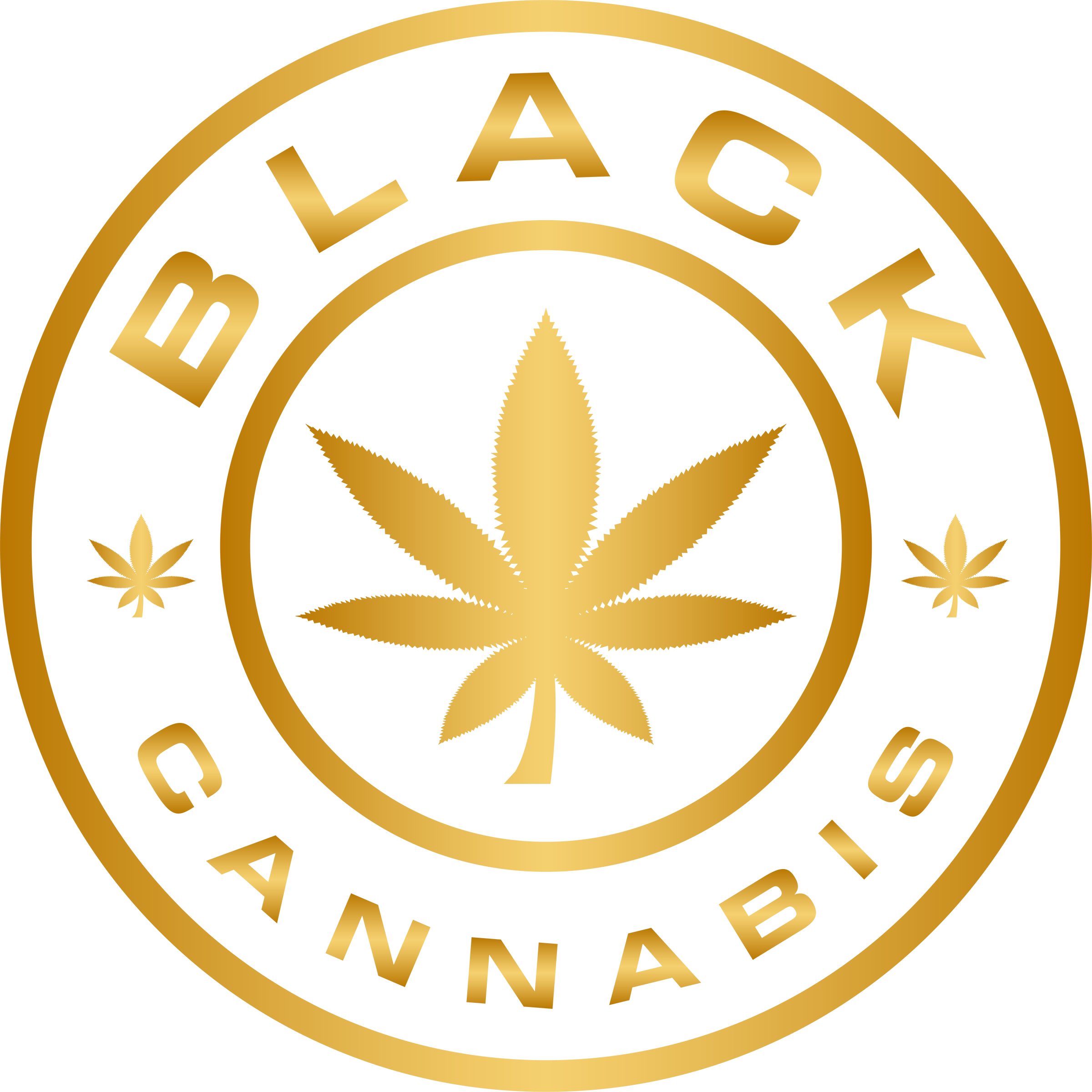 BC Black : STONE GROVE ZKITTLEZ