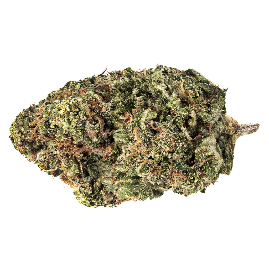 7Acres - Jack Haze