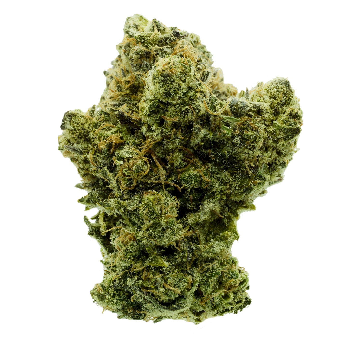 CAMP RIVER CANNABIS : ANIMAL COOKIES