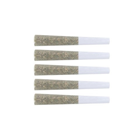 The Loud Plug : Venom OG Pre-Rolls (5pk)