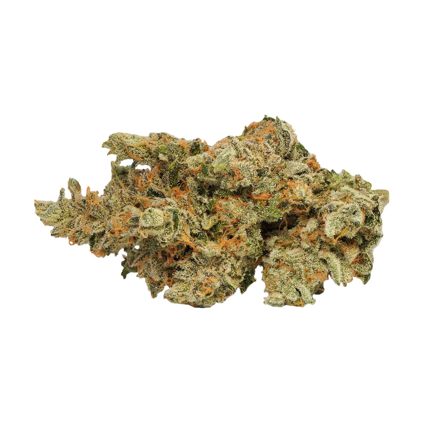 LOT420 : XENO