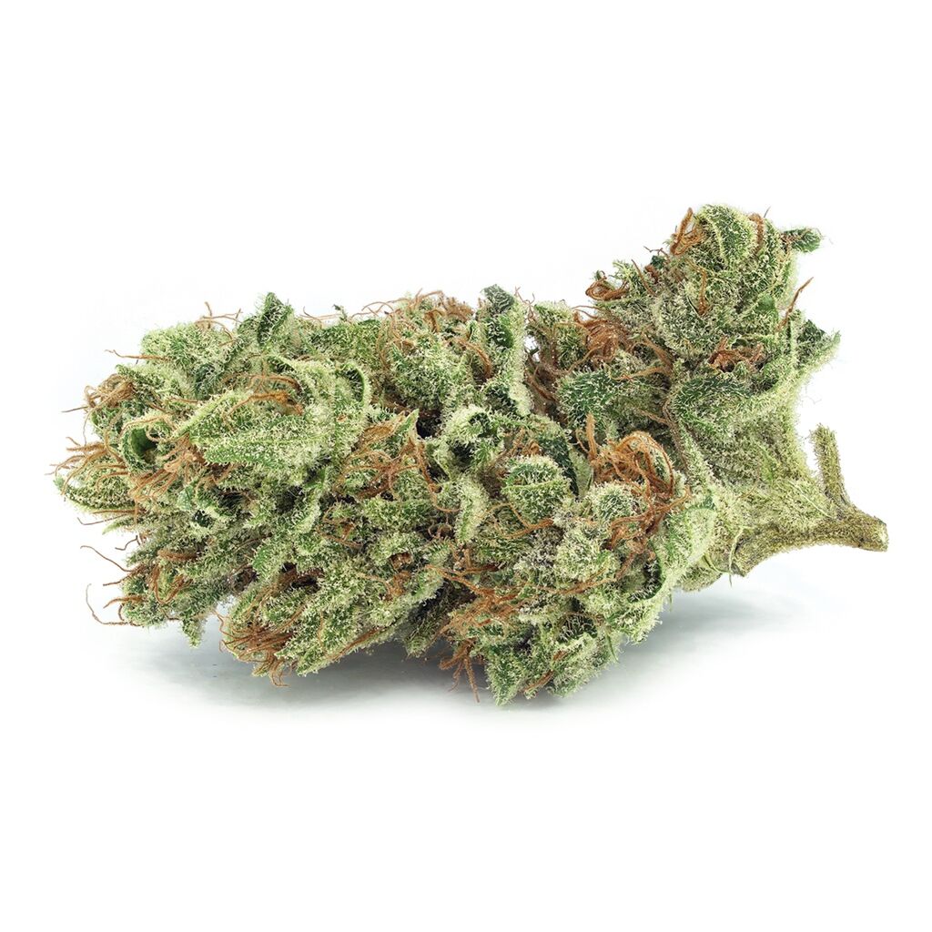 Tantalus Labs : BC SUNGROWN SERRATUS