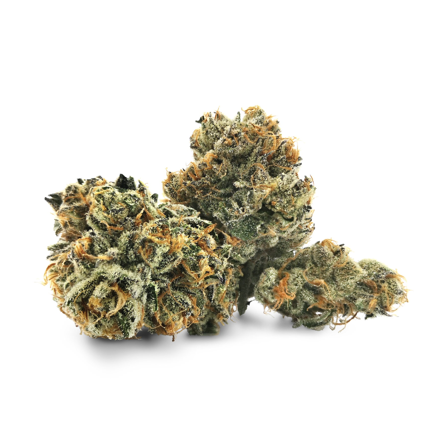 Pistol And Paris : HAWAIIAN FANTA