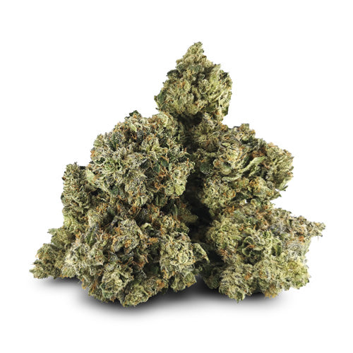Crowfoot - Space Dawg - 14G