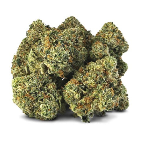Smoker Farms : Master Kush Ultra