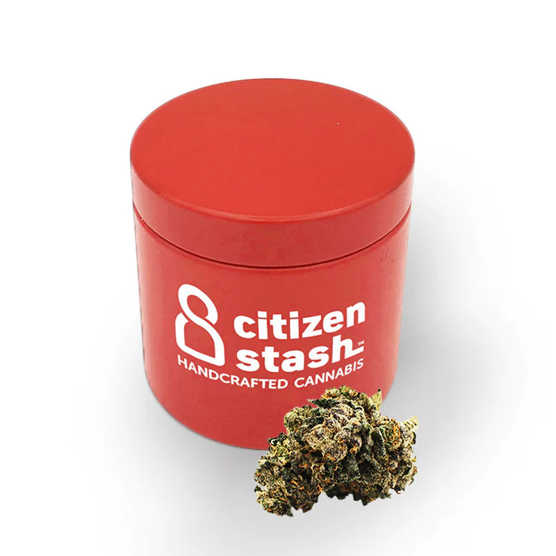 CITIZEN STASH : CHERRY BOMB