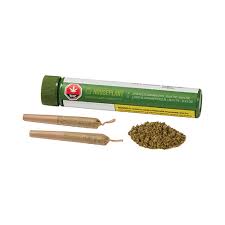 HOUSEPLANT : HOUSEPLANT HYBRID PRE-ROLL (1g)