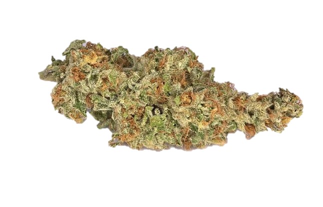 JR Strain : Rainbow Flame
