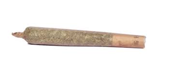 CannMart : PALE WHALE PRE-ROLL (0.5g)