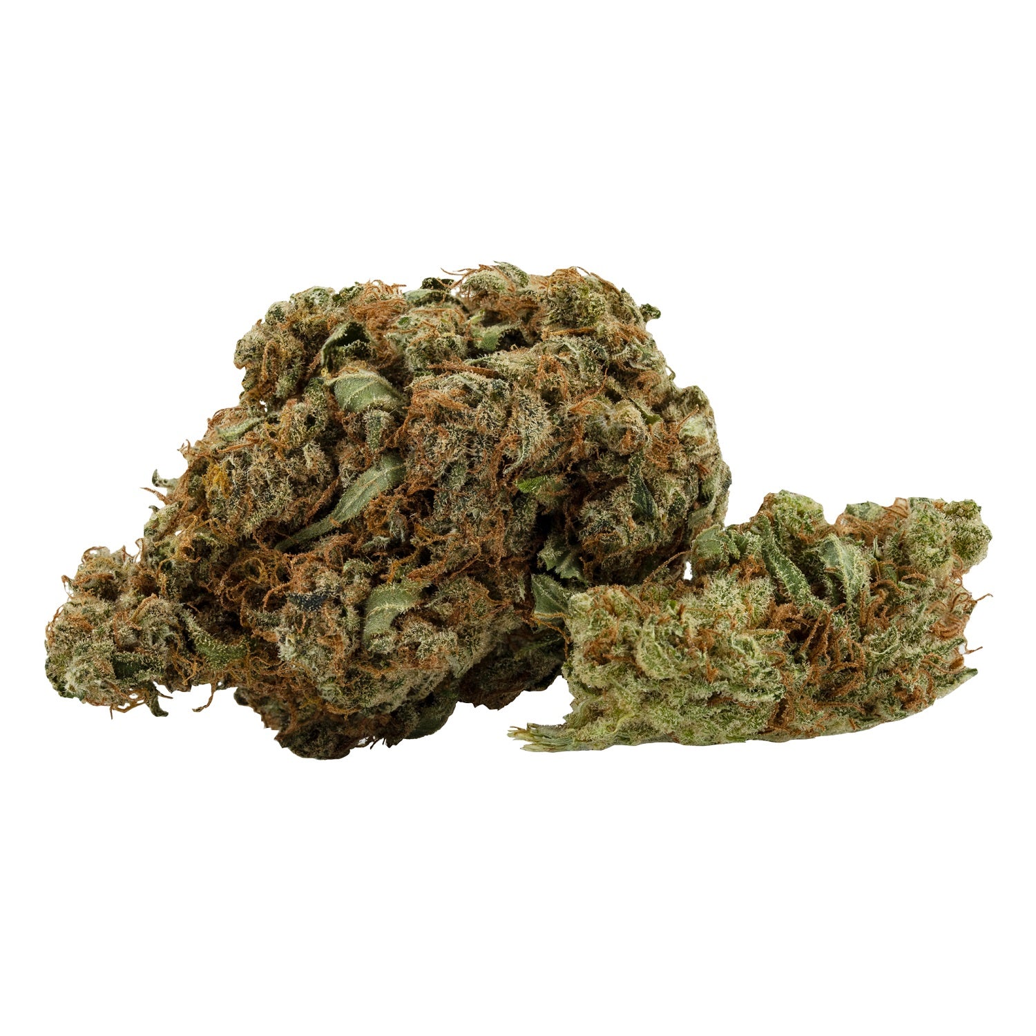 Daily Special : LEMON HAZE