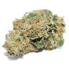 THC BIOMED : BIOMED INDICA