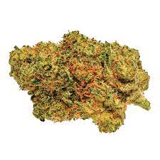 San Rafael '71 : GREAT WHITE SHARK
