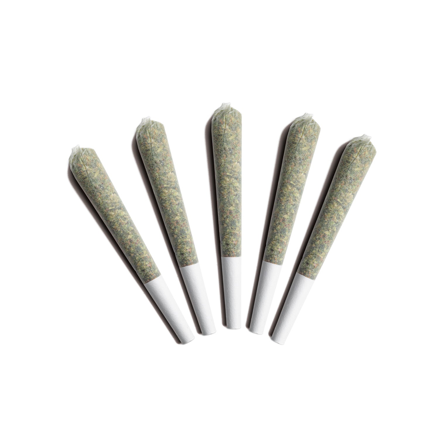 Gladstone : PLPK PRE-ROLLS (5x.5g)