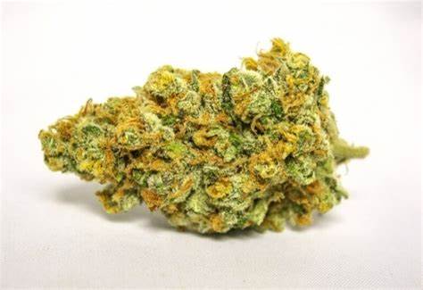 Cruuzy : Tangerine Sunrise