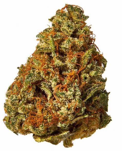 MALAHAT MOUNTIAN CANNABIS CO : 8 BALL KUSH HASH - 8 BALL KUSH HASH (1g)