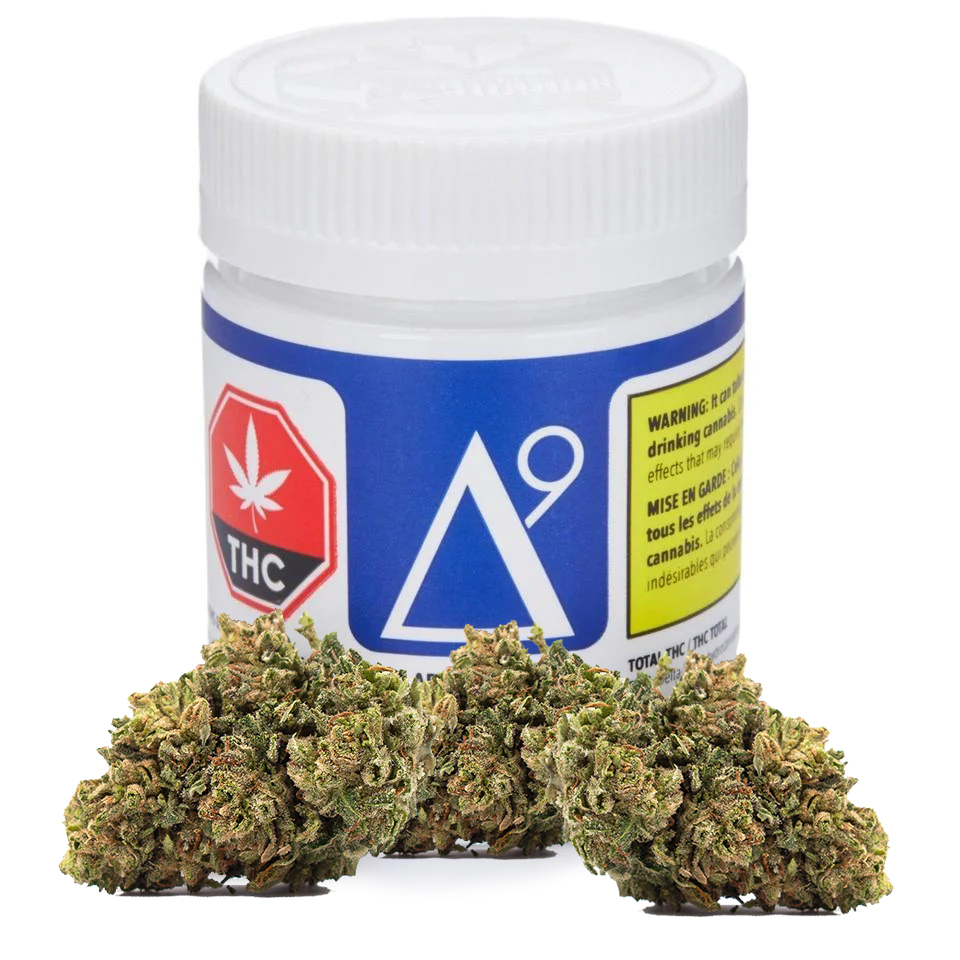 Delta 9 : BBGUM