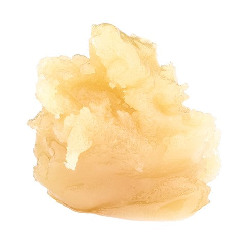 Dabble Cannabis Co. - Honey Bananas Live Rosin Lto - Dabble Cannabis Co. : Honey Bananas Live Rosin (1g)