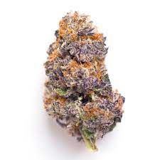 The Quarry : THE PURPS