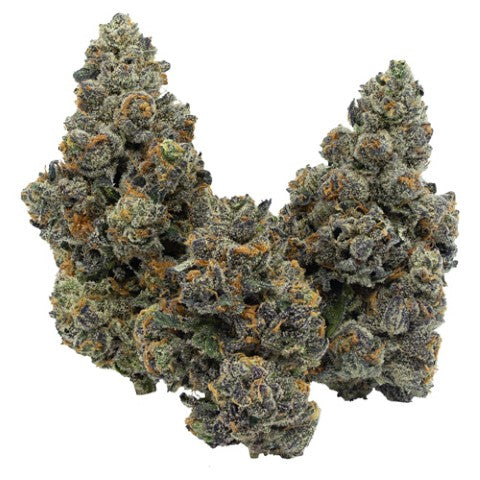 F.A.A.F.O. : Indica (Gastropop)