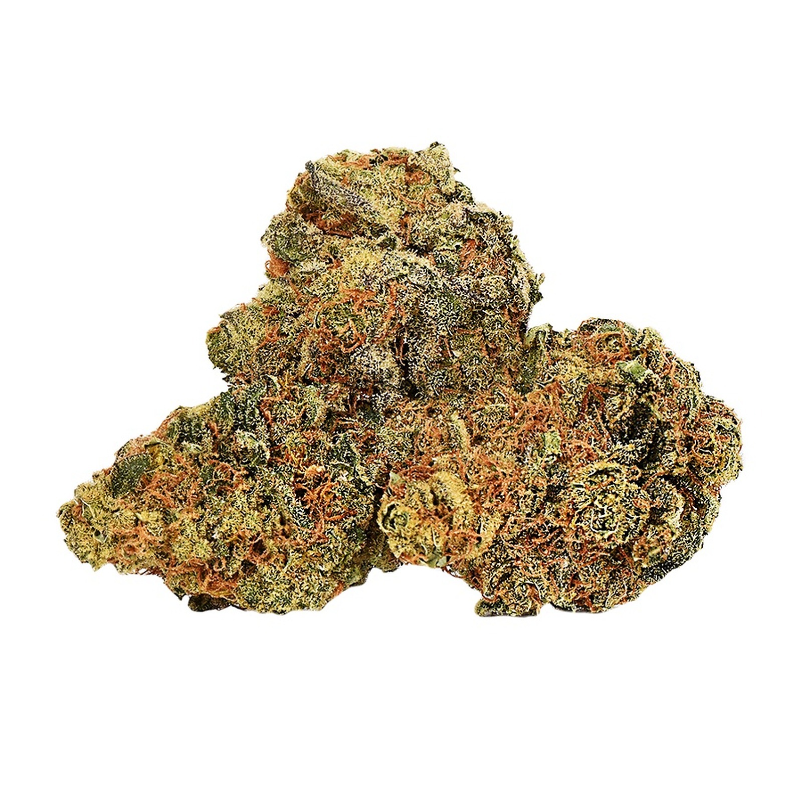 TABLE TOP : CACTUS BREATH