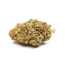 Symbl : SUMMER JAM PRE-ROLL (2g)