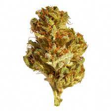 LBS : PALM TREE CBD