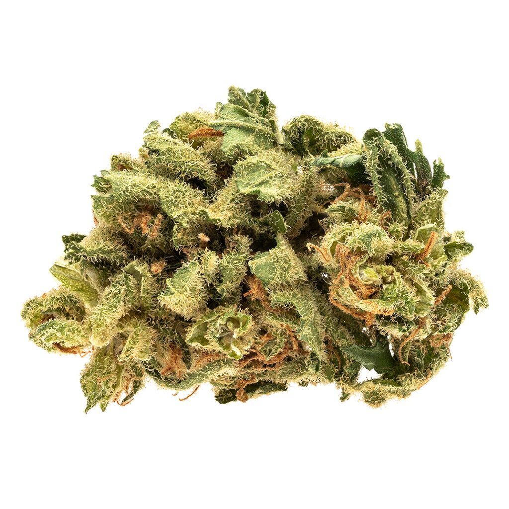 Riff : RAIDER KUSH