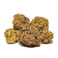 Whistler Cannabis Co. : HASHISH (1g)