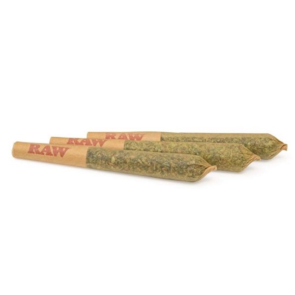 GOOD BUDS COMPANY : GLUERANGUTAN PRE-ROLLS - GLUERANGUTAN PRE-ROLLS (2x0.5g)