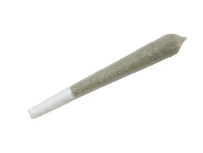 Ignite - White Fondu -  Hybrid 3.5G