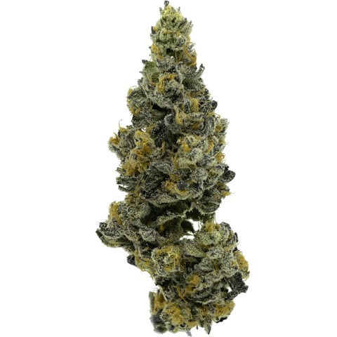 Stonehouse : Dosidos X Wedding Cake F3 X Jealousy