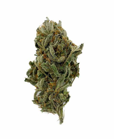 18twelve : SOUR AMNESIA