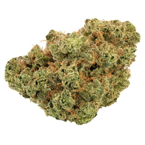 Trailblazer : Lemonade Haze Sativa Dried Flower