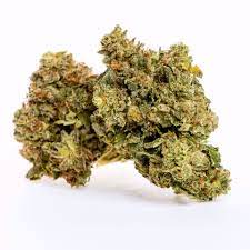 Grail : HEADBAND