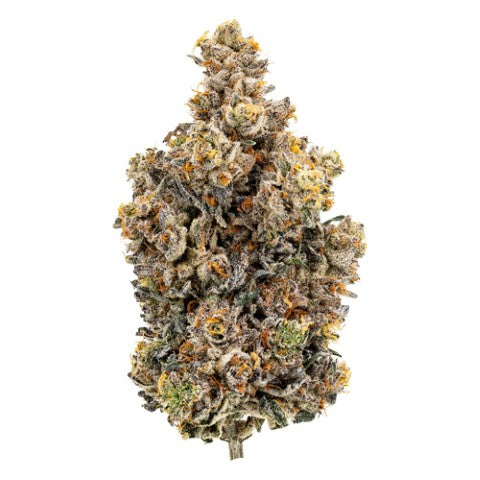 Sweetgrass Organic Cannabis : Organic Surreal Dreams
