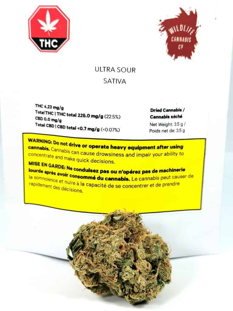 WILDLIFE : ULTRA SOUR