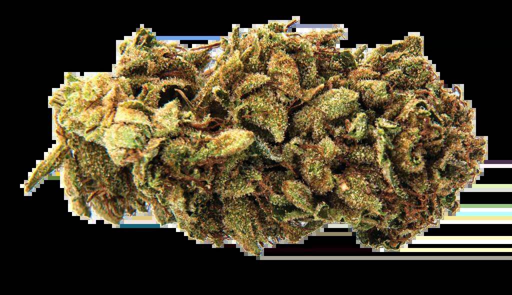 Freedom Cannabis - Tutti Frutti -  Sativa 28G