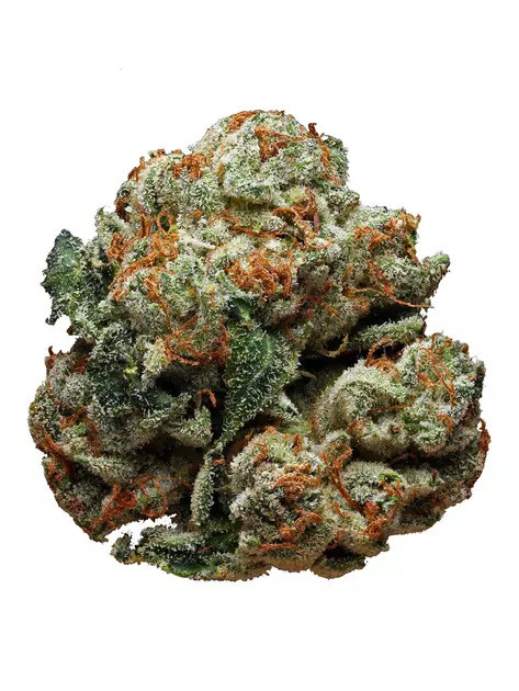 Benchmark Botanics Cannabis : DELAHAZE