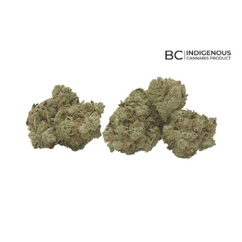Bc Cannabis Inc. : Golden Haze Dry Flower