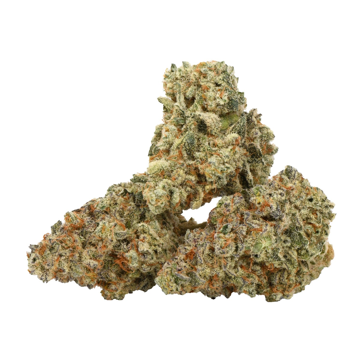 FRESH : ALIEN JELLY