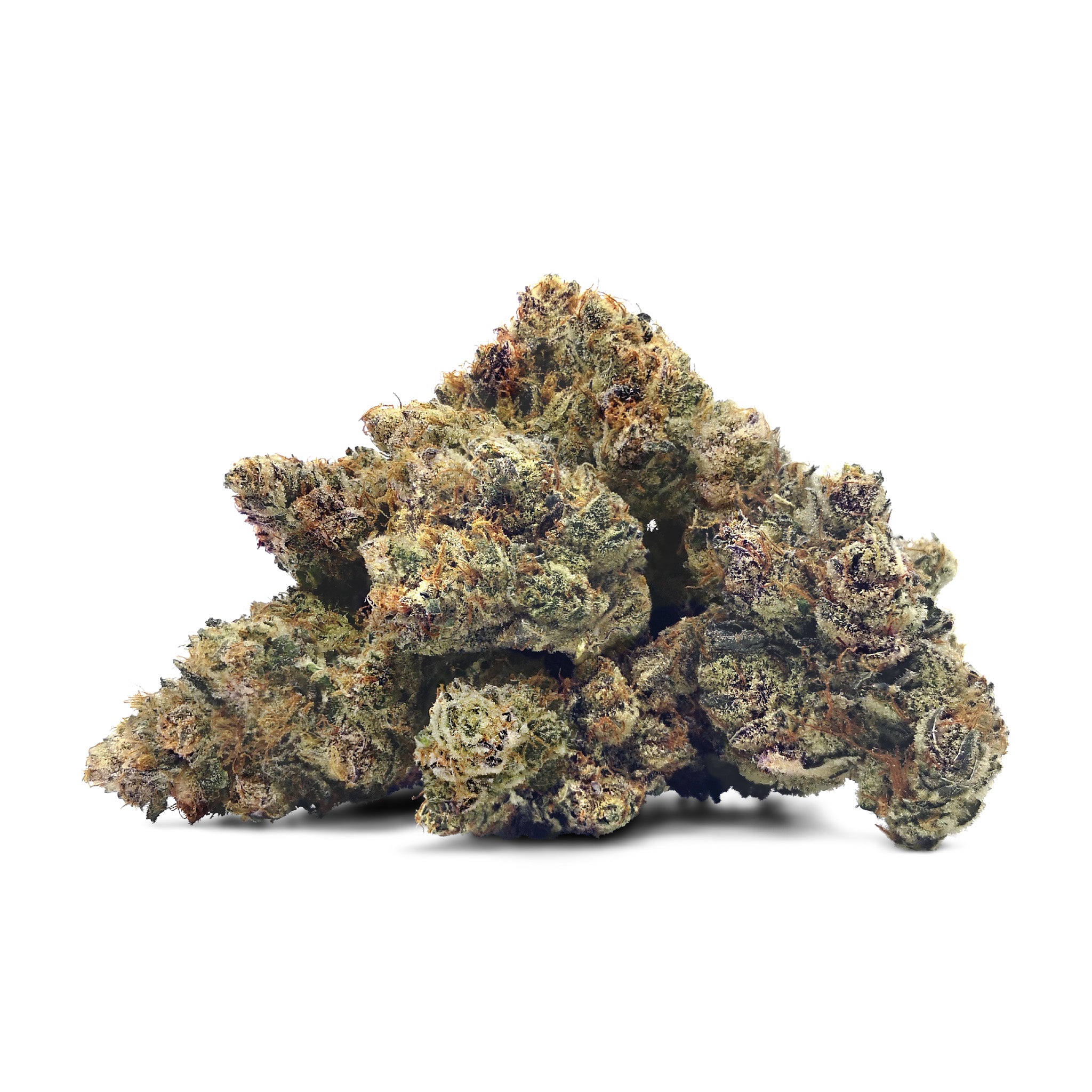 DUNESBERRY FARM : CACTUS BREATH X GARLIC SHERBERT 14G LTO