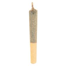 Haven St. : NO. 509 SKYSCRAPPER PRE-ROLL (0.5g)