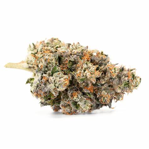 ORGANNICRAFT : NITRO COOKIES